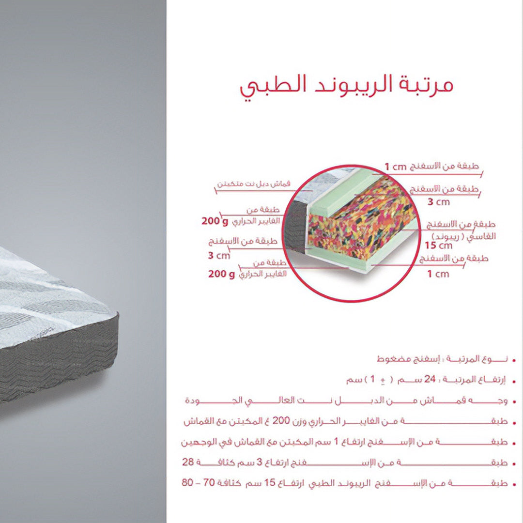 مراتب ریبوند ريو من المأمون