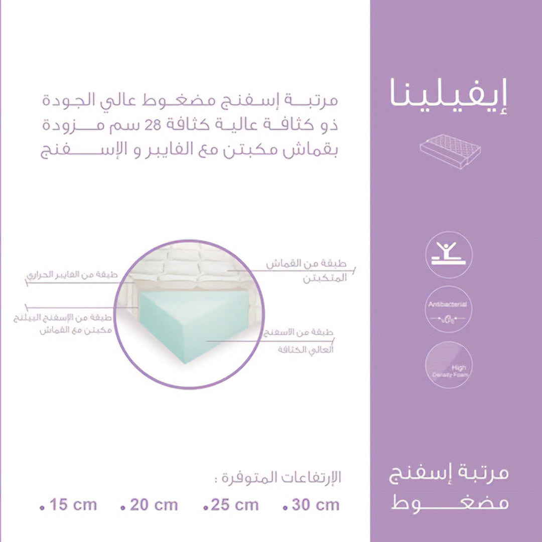 مراتب إيفيلينا من المأمون